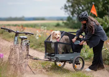 qeridoo-nach-hundeanhaenger-text